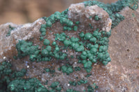 Natural Rare Ball Malachite On Drusy Quartz & Dolomite Matrix  x 1 From Kambove, Congo - Toprock Gemstones and Minerals 