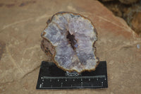 Natural Amethyst In Basalt Geode Specimens  x 6 From Zululand, South Africa - TopRock