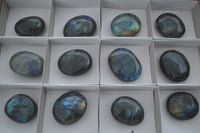 Polished Flashy Labradorite Palm Stones  x 12 From Tulear, Madagascar - TopRock