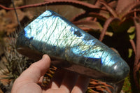 Polished Labradorite Standing Free Forms With Intense Blue Flash x 2 From Sakoany, Madagascar - TopRock