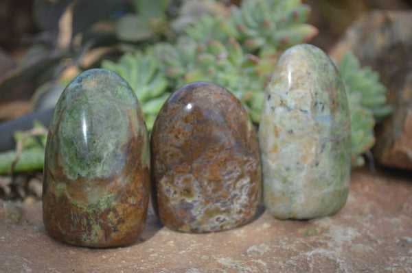 Polished Green Chrysoprase Standing Free Forms  x 6 From Madagascar