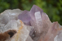 Natural Jacaranda Amethyst Clusters x 2 From Zambia