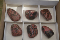 Polished Red Rhodonite Free Forms  x 6 From Zimbabwe - Toprock Gemstones and Minerals 