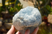 Polished Blue Celestite Crystal Eggs  x 2 From Sakoany, Madagascar - TopRock