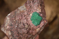 Natural Pink Salrose Cobaltion Dolomite Specimens x 6 From Kakanda, Congo