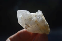 Natural Single Cascading Quartz Crystals  x 35 From Madagascar - Toprock Gemstones and Minerals 