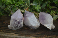 Natural Large Single Jacaranda Amethyst Crystals  x 3 From Mumbwa, Zambia - Toprock Gemstones and Minerals 