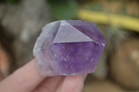 Natural Single Jacaranda Amethyst Crystals  x 24 From Mumbwa, Zambia - Toprock Gemstones and Minerals 