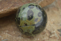 Polished Stromatolite / Kambamba Jasper Spheres  x 3 From Mahajanga, Madagascar - TopRock