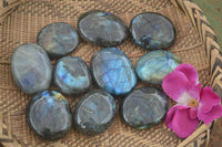 Polished Flashy Labradorite Palm Stones  x 12 From Tulear, Madagascar - TopRock