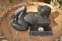 Polished  Black Serpentine Gorilla Carving x 1 From Zimbabwe