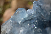 Natural Blue Celestite Geode Specimen  x 1 From Sakoany, Madagascar