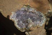 Natural Amethyst In Basalt Geode Specimens  x 6 From Zululand, South Africa - TopRock