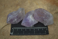 Natural Single Jacaranda Amethyst Crystals  x 24 From Mumbwa, Zambia - Toprock Gemstones and Minerals 