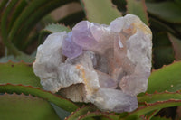 Natural Jacaranda Amethyst Clusters x 2 From Zambia