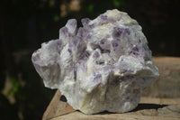 Natural Sugar Amethyst Quartz Cluster  x 1 From Zambia - Toprock Gemstones and Minerals 