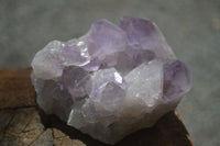 Natural Jacaranda Amethyst Clusters  x 3 From Mumbwa, Zambia - Toprock Gemstones and Minerals 