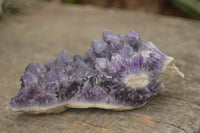 Natural Deep Jacaranda Amethyst Crystal Clusters  x 6 From Zambia - TopRock