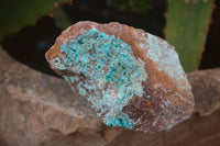 Natural Dioptase In Matrix Specimens  x 12 From Grootfontein, Namibia