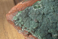 Natural Drusy Coated Ball Malachite On Dolomite Specimen  x 1 From Likasi, Congo