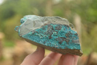 Natural Blue Silica Chrysocolla Specimens  x 5 From Kulukuluku, Congo - TopRock