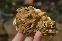 Natural Limonite Quartz Clusters x 12 From Solwezi, Zambia