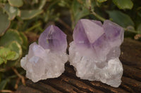 Natural Jacaranda Amethyst Crystals x 12 From Mumbwa, Zambia