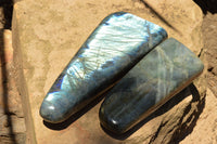 Polished Labradorite Standing Free Forms With Intense Blue Flash x 2 From Sakoany, Madagascar - TopRock