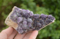 Natural Deep Jacaranda Amethyst Crystal Clusters  x 6 From Zambia - TopRock