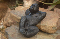 Polished  Black Serpentine Gorilla Carving x 1 From Zimbabwe