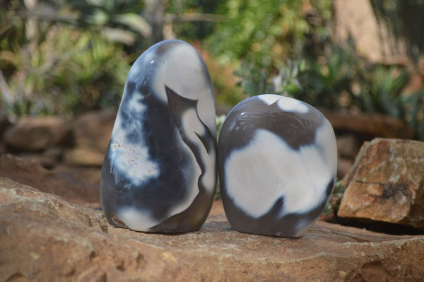 Polished Orca Agate Standing Free Forms x 2 From West Coast, Madagascar