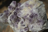 Natural Sugar Amethyst Quartz Cluster  x 1 From Zambia - Toprock Gemstones and Minerals 