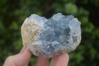 Natural Blue Celestite Crystal Specimens  x 3 From Sakoany, Madagascar - Toprock Gemstones and Minerals 