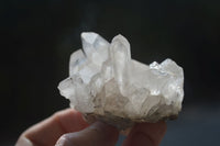 Natural Clear Quartz Crystals & Clusters  x 12 From Mpika, Zambia - Toprock Gemstones and Minerals 