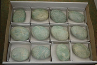 Polished Blue Amazonite Palm Stones  x 12 From Madagascar - Toprock Gemstones and Minerals 