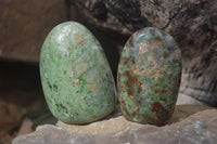 Polished Green Chrysoprase Standing Free Forms  x 6 From Madagascar