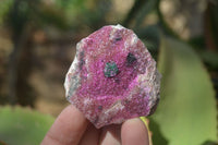 Natural Pink Salrose Cobaltion Dolomite Specimens  x 9 From Kakanda, Congo