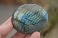 Polished Flashy Labradorite Palm Stones  x 12 From Tulear, Madagascar - TopRock