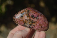 Polished Red Rhodonite Free Forms  x 6 From Zimbabwe - Toprock Gemstones and Minerals 