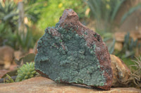 Natural Drusy Coated Ball Malachite On Dolomite Specimen  x 1 From Likasi, Congo