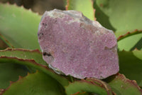 Natural Pink Salrose Cobaltion Dolomite Specimens  x 9 From Kakanda, Congo