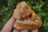 Natural Limonite Quartz Clusters x 12 From Solwezi, Zambia