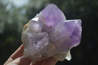 Natural Jacaranda Amethyst Clusters  x 3 From Mumbwa, Zambia - Toprock Gemstones and Minerals 