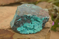 Natural Blue Silica Chrysocolla Specimens  x 5 From Kulukuluku, Congo - TopRock