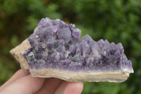 Natural Deep Jacaranda Amethyst Crystal Clusters  x 6 From Zambia - TopRock