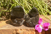 Polished Septaria (Calcite & Aragonite) Standing Free Forms  x 2 From Mahajanga, Madagascar - TopRock