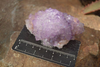 Natural Spirit Amethyst Quartz Clusters x 2 From Boekenhouthoek, South Africa