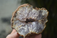 Natural Amethyst In Basalt Geode Specimens  x 6 From Zululand, South Africa - TopRock