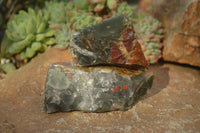 Natural Rough Bloodstone Cobbed Specimens  x 12 From Swaziland