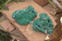 Natural Groovy Botryoidal Malachite With Chrysocolla Specimens x 2 From Kolwezi, Congo